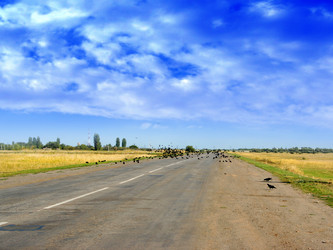 Similar image 897660