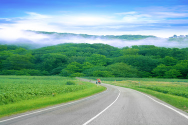 Similar image 897661