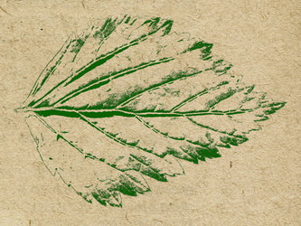 Similar image 897785