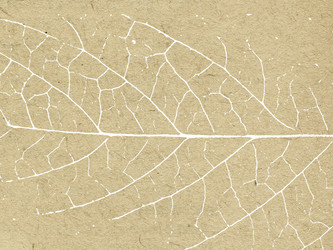 Similar image 897793