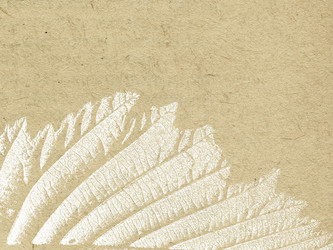 Similar image 897798