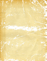 Similar image 897821