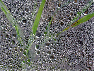 Similar image 897848