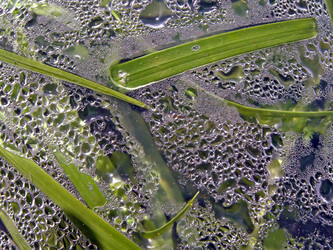 Similar image 897850