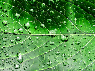 Similar image 897870