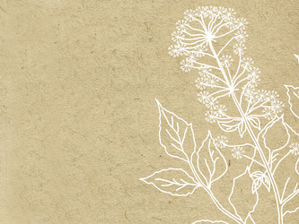 Similar image 897885