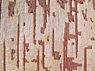 Similar image 897914