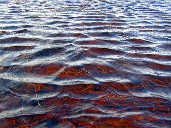 Similar image 897932