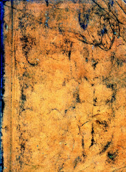 Similar image 898085