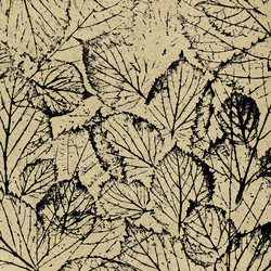 Similar image 898203