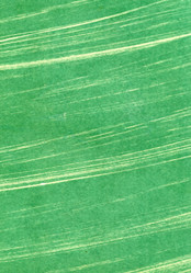 Similar image 898229