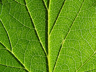 Similar image 898235