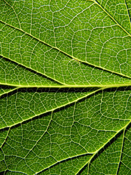 Similar image 898236