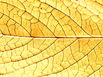 Similar image 898238