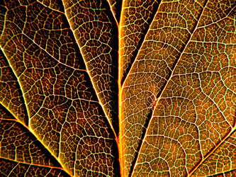 Similar image 898246