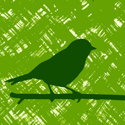 Similar image 898248