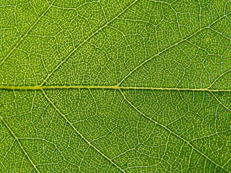 Similar image 898281