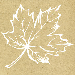 Similar image 898295