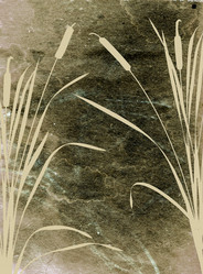 Similar image 898302