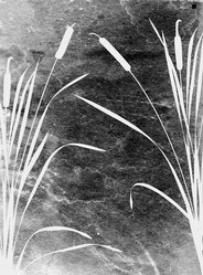 Similar image 898304