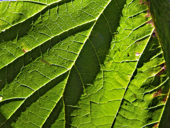 Similar image 898321