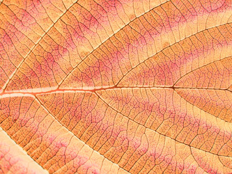 Similar image 898322