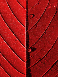 Similar image 898323