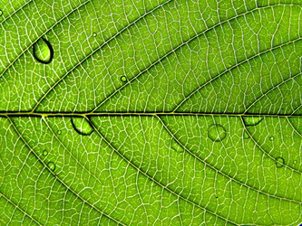 Similar image 898326