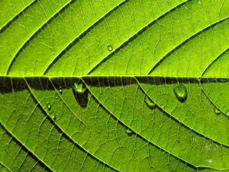 Similar image 898327