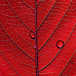 Similar image 898328