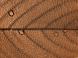 Similar image 898329