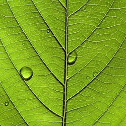 Similar image 898330