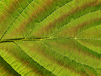 Similar image 898332