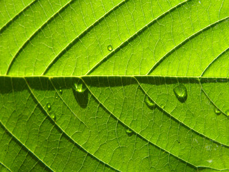 Similar image 898333