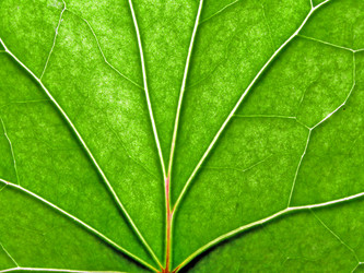 Similar image 898334