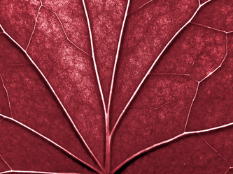 Similar image 898335