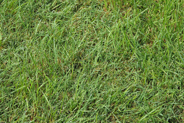 Similar image 898336