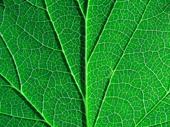 Similar image 898338