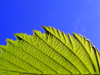 Similar image 898339