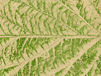 Similar image 898341