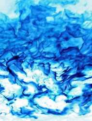 Similar image 898343