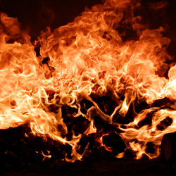 Similar image 898345