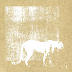 Similar image 898364