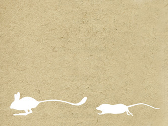 Similar image 898366