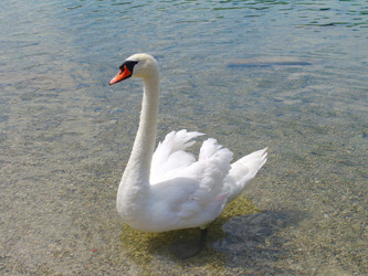 Similar image 898407