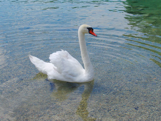 Similar image 898408