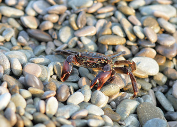 Similar image 898440