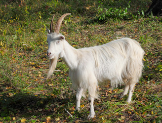 Similar image 898442