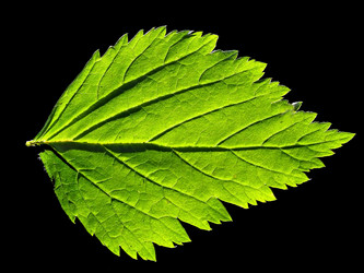 Similar image 898472