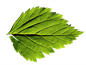 Similar image 898473